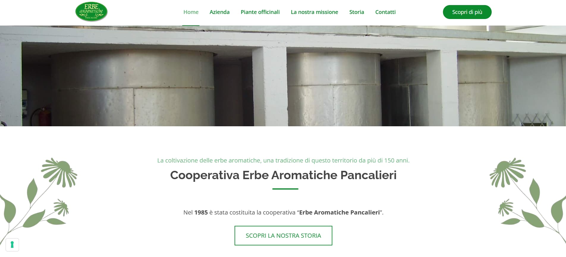 Erbe Aromatiche Pancalieri